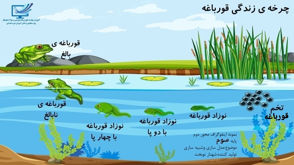 اینفوگرافیک